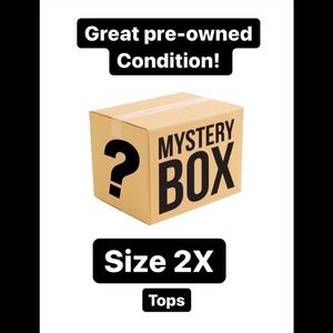 Mystery Box 8 Womens Tops Size 2X